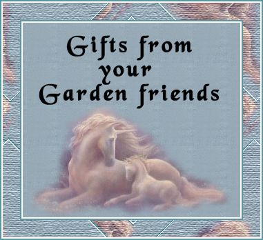 From the Garden of Friendship